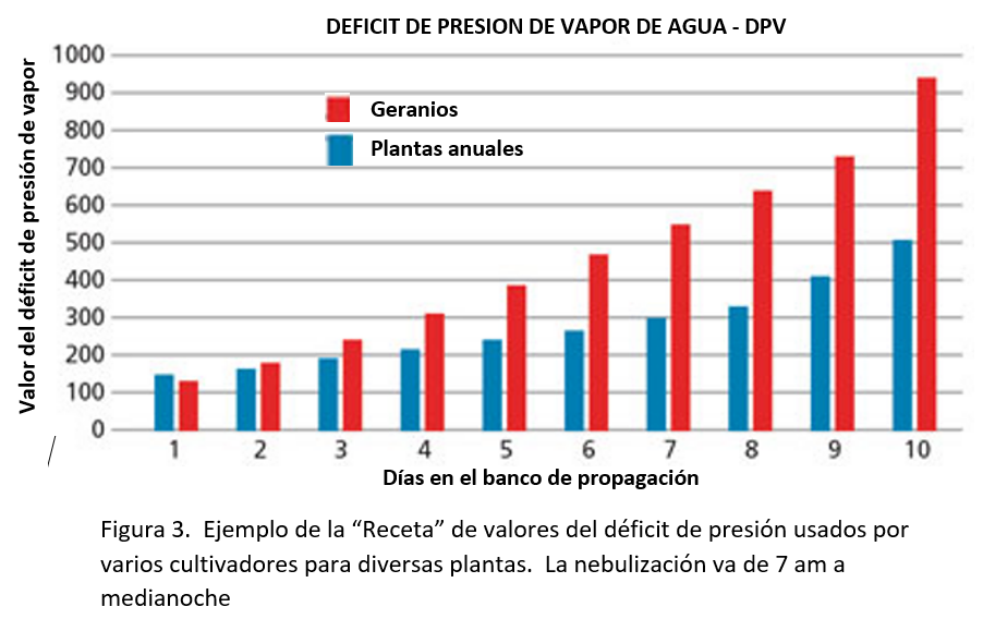 Figura 3